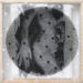 Vicky Veil (verbal no. 84) Vicky Veil (verbal no. 84)-Remains Of Today-2020
