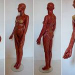 Anatomia Suaves, candy statue// liquorish laces /red, orange & yellow. 1.80 high. Anatomia is een samenwerking met Mirthe Langelaan en zij maakt onderdeel uit van het project Duo Ongezoet: zie ook Duo Ongezoet.