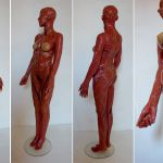 Anatomia Suaves, candy statue// liquorish laces /red, orange & yellow. 1.80 high. Anatomia is een samenwerking met Mirthe Langelaan en zij maakt onderdeel uit van het project Duo Ongezoet: zie ook Duo Ongezoet. Anatomie Corpus Suave- Duo Ongezoet- 2014>2016